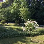 Szent Jakab