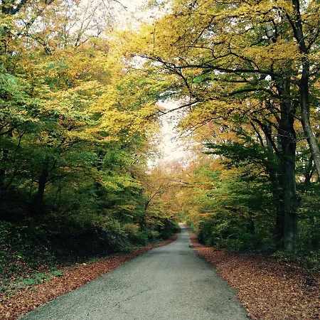 Szent Jakab לינה וארוחת בוקר