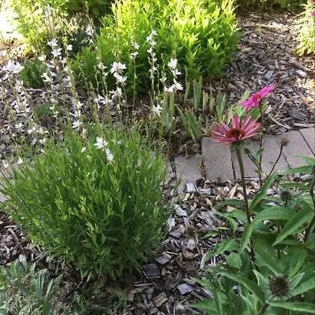 فندق مبيت وإفطار Szent Jakab *