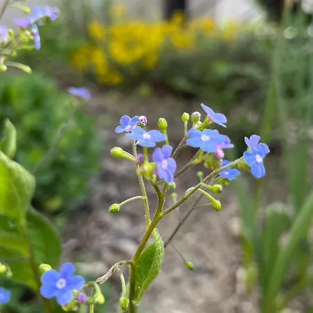 Szent Jakab לינה וארוחת בוקר 3*