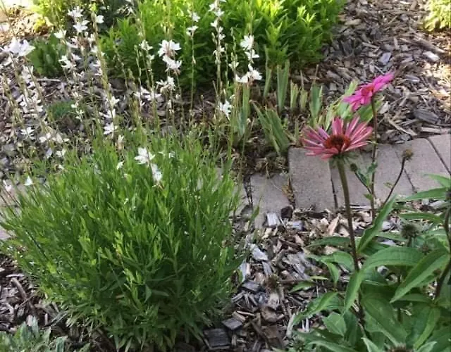 ベッド・アンド・ブレックファスト Szent Jakab 3*